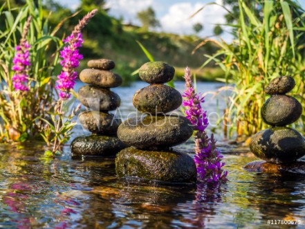 Bild på Lebensenergie Wasser